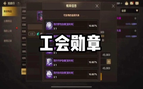 dnf奶妈用什么勋章[图2]