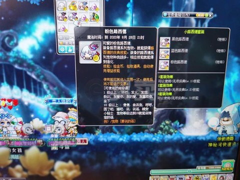 冒险岛2宠物怎么卖[图2]