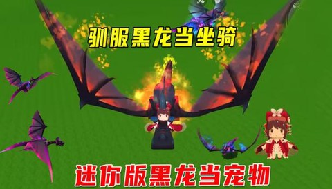 迷你世界黑龙怎么训服[图1]