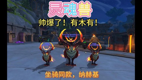 魔兽世界带什么宠物好[图1]