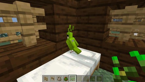 我的世界怎么训鹦鹉[图2]