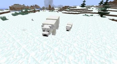 我的世界怎么喂北极熊[图1]