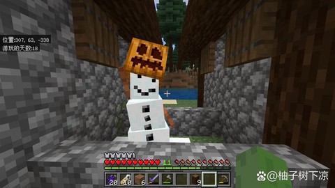 我的世界雪傀儡怎么养[图2]