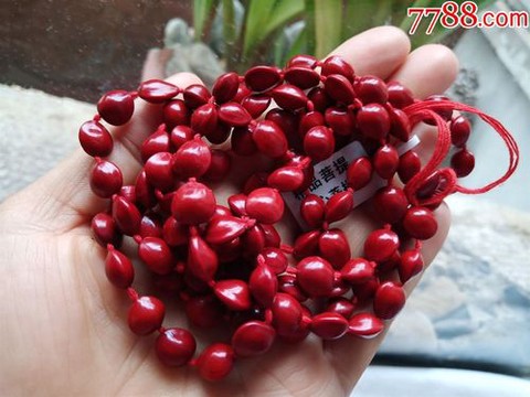 武林外传血菩提有什么用[图2]