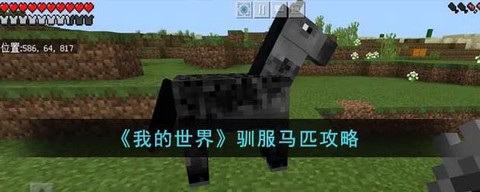 我的世界上马怎么上[图1]