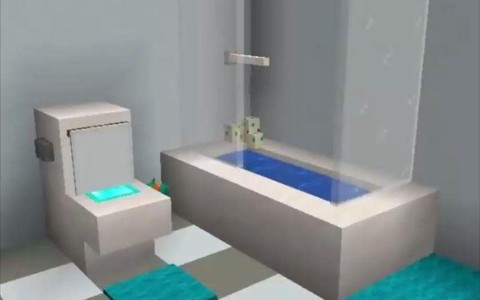 我的世界里怎么做厕所[图2]