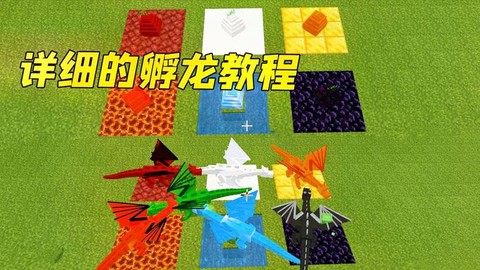 我的世界黑龙怎么孵化[图2]